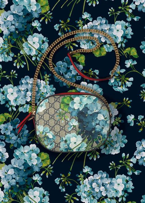 gucci blue blooms